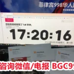 菲律宾洗黑需要担保公司?