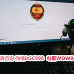 菲律宾ALO BLO WLO HDO 不给出境