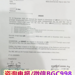 SRRV SIRV可以参加本国医保吗